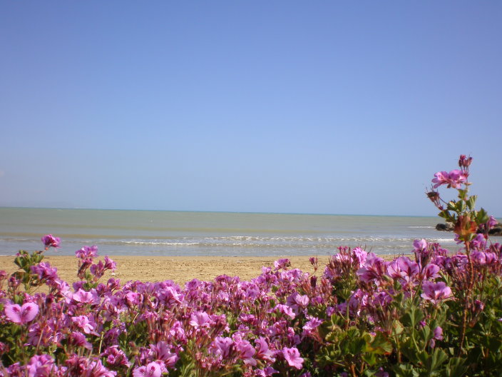 sicile 2008 264.jpg